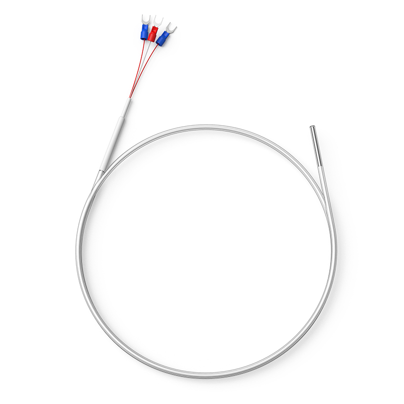 鐵氟龍熱電阻12_http://m.gxyifafood.com_溫度儀表_第1張