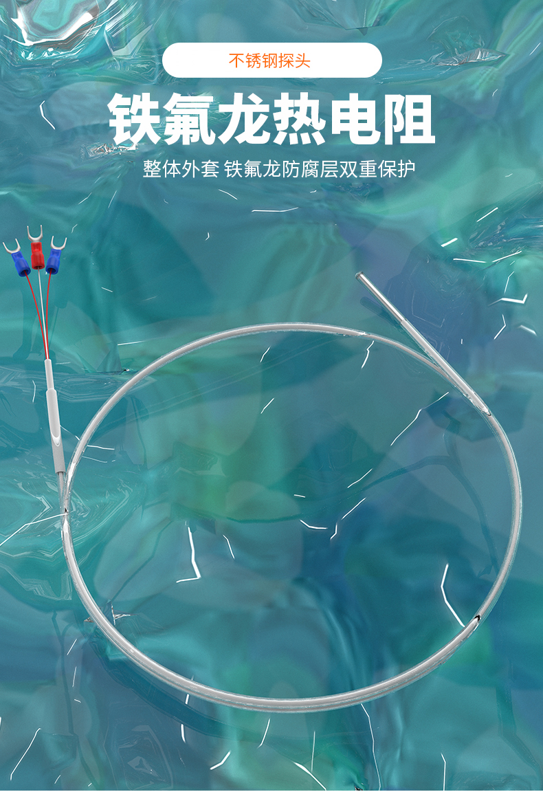 鐵氟龍熱電阻12_http://m.gxyifafood.com_溫度儀表_第4張