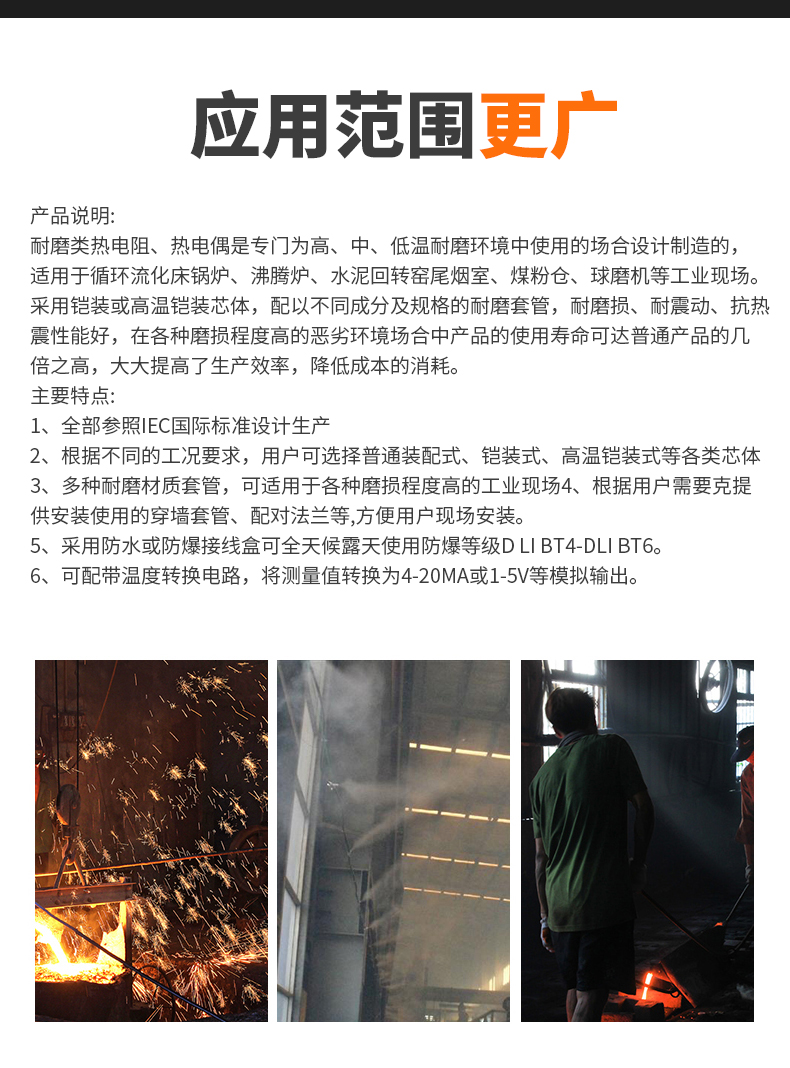 WRNM-131耐磨熱電偶15_http://m.gxyifafood.com_溫度儀表_第6張